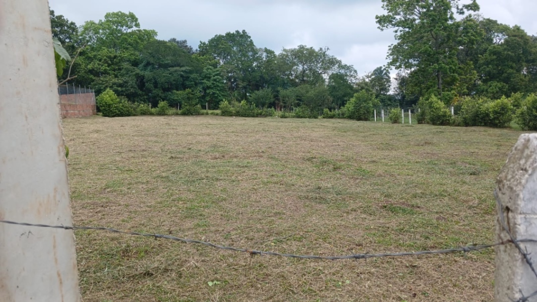 Cl. 134, Ibagué, Tolima, Colombia 4